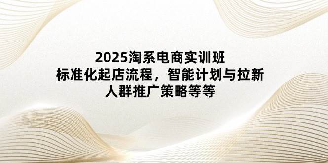 (14522期)2025淘系电商实训班:标准化起店流程,智能计划与拉新,人群推广策略等等-云网创