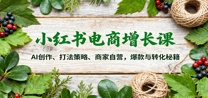 小红书电商增长课:AI创作、打法策略、商家自营,爆款与转化秘籍-云网创