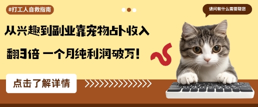 从兴趣到副业靠宠物占卜收入翻3倍一个月纯利润破W-云网创