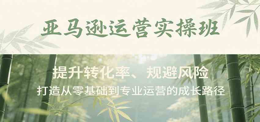亚马逊运营实操班,提升转化率、规避风险,打造从零基础到专业运营的成长路径-云网创