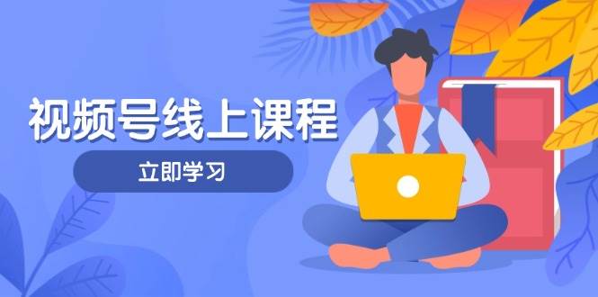 视频号实战课程,轻IP打造与运营技巧,掌握核心方法与策略-云网创