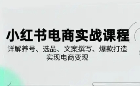 小红书从0-1实操课(2023-2025),详解养号、选品、文案撰写、爆款打造实现电商变现-云网创