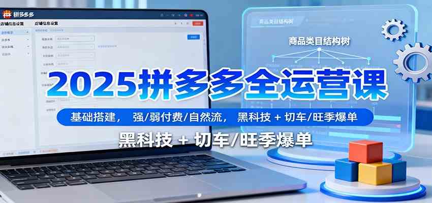 2025拼多多全运营课:基础搭建,强/弱付费/自然流,黑科技 + 切车/旺季爆单-云网创