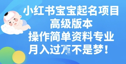 小红书宝宝起名项目高级版本,操作简单,资料专业,月入过W-云网创