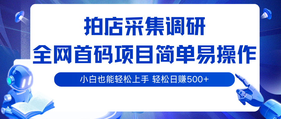 拍店采集调研,全网首码项目,简单易操作, 小白也能轻松上手,轻松日赚500+-云网创