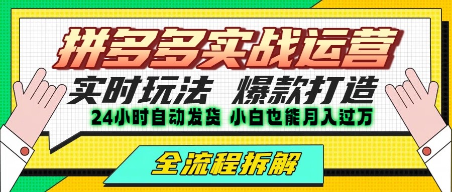 拼多多最新实战运营高投产:长久稳定项目,单店利润一天三位数-云网创