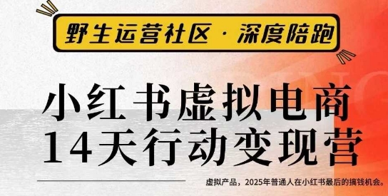 小红书虚拟电商14天变现训练营3.0,虚拟产品,2025年普通人在小红书最后的搞钱机会-云网创