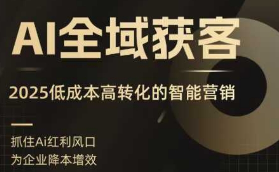 AI全域获客实训营，2025低成本高转化的智能营销，精准找客，高效营销-云网创