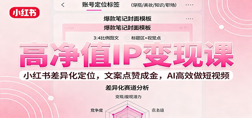 高净值IP变现课:小红书差异化定位,文案点赞成金, AI高效做短视频-云网创