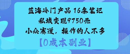 蓝海冷门产品:16条笔记私域变现9750米小众赛道,操作的人不多-云网创