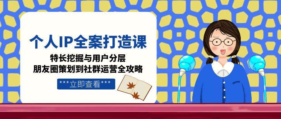 个人IP全案打造课,特长挖掘与用户分层,朋友圈策划到社群运营全攻略-云网创