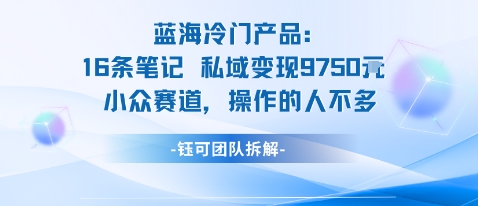 蓝海项目:16条笔记私域变现9750米小众赛道操作的人不多-云网创