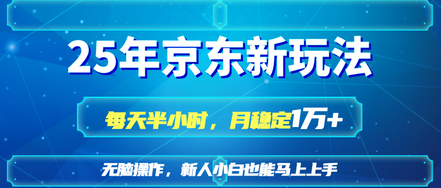 (14309期)25京东新玩法,每天半小时,月稳定1W+-云网创