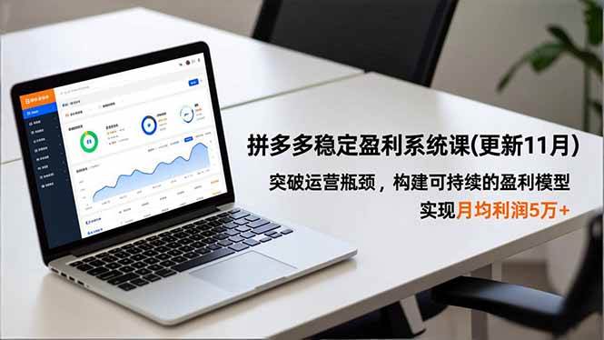 （16641期）拼多多稳定盈利系统课(更新11月)，突破运营瓶颈，构建可持续的盈利模型，实现月均利润5万+-云网创