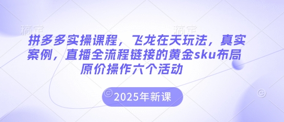 拼多多实操课程,飞龙在天玩法,真实案例,直播全流程链接的黄金sku布局原价操作六个活动-云网创
