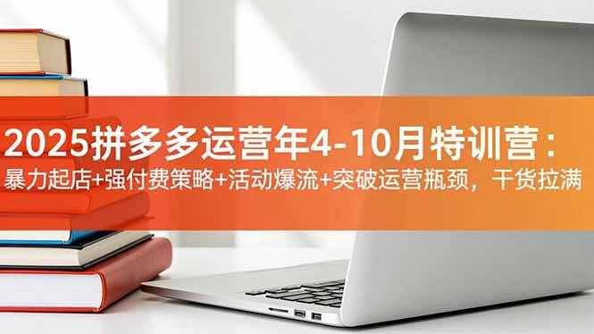 （16642期）2025拼多多运营年4-10月特训营：暴力起店+强付费策略+活动爆流+突破运营瓶颈，干货拉满-云网创
