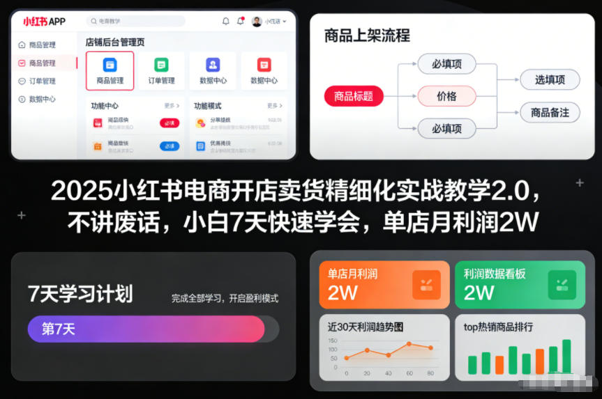2025小红书电商开店卖货精细化实战教学2.0，不讲废话，小白7天快速学会，单店月利润2W-云网创