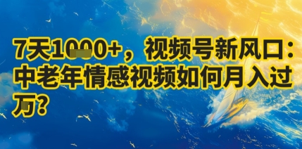 7天收益1k+,视频号新风口:中老年情感视频如何月入过W?-云网创