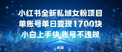 小红书全新私域女粉项目单账号单日变现多张，小白上手快账号不违规建议准备多账号操作-云网创