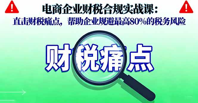 (16232期)电商企业财税合规实战课,直击财税痛点,帮助企业规避最高80%的税务风险-云网创