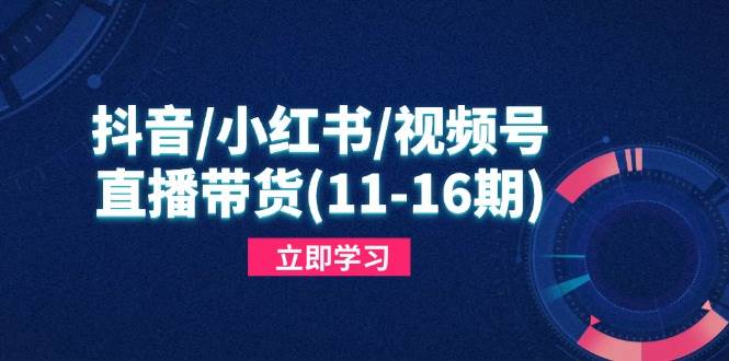(14611期)抖音/小红书/视频号/直播带货(11-16期),快速掌握平台规则,打造爆款内容-云网创
