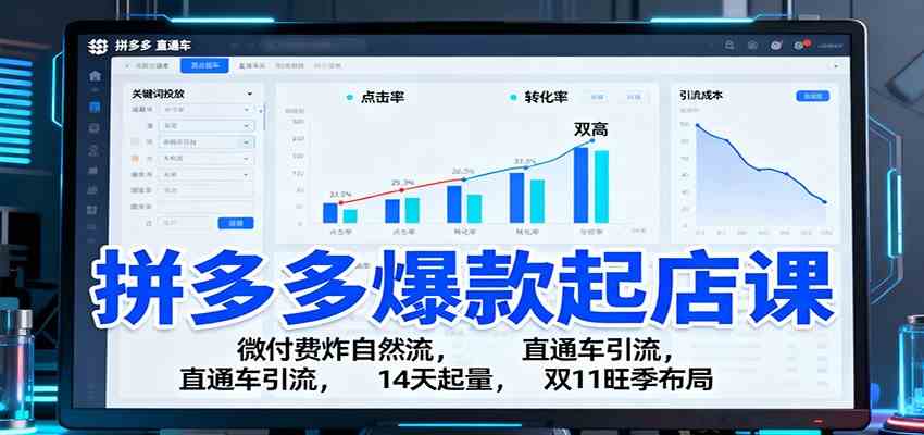 拼多多爆款起店课:微付费炸自然流,直通车引流,14天起量,双11旺季布局-云网创