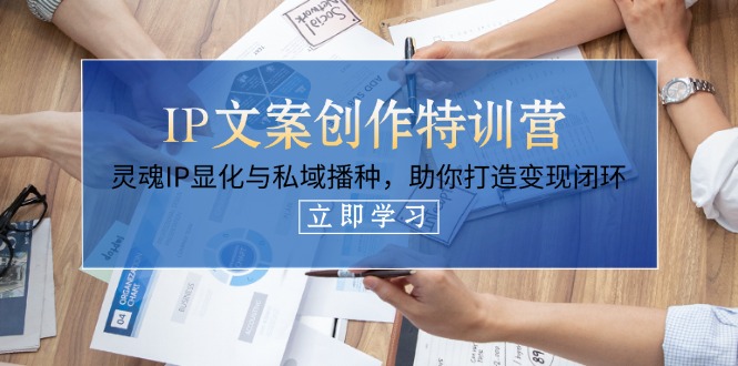 (14330期)IP文案创作特训营,灵魂IP显化与私域播种,助你打造变现闭环(14节课)-云网创