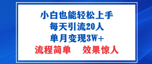 小白也能轻松上手的宝妈项目，每天引流20人，单月变现3W+，流程简单，效果惊人-云网创