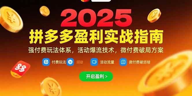 (15357期)拼多多盈利实战指南,强付费玩法,活动爆流技术,微付费破局方案(更新7月)-云网创