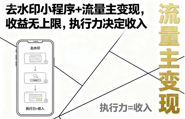 去水印小程序+流量主变现,收益无上限,执行力决定收入-云网创
