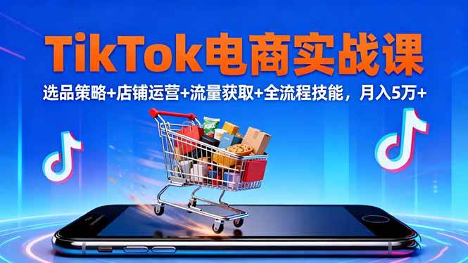 (16422期)TikTok电商实战课10月,选品策略+店铺运营+流量获取+全流程技能,月入5万+-云网创