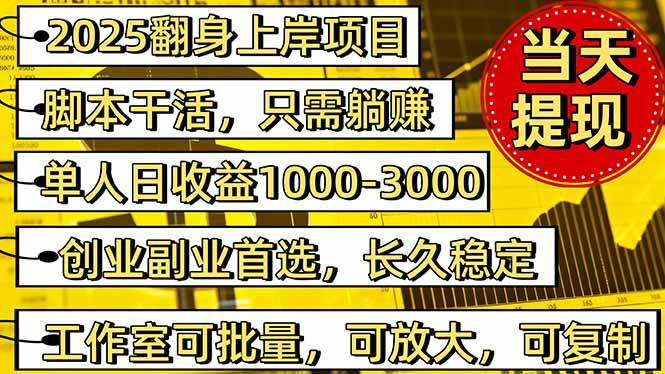 (16501期)2025翻身上岸项目脚本干活,内部客户经理内部开号,单人日收益1000-300…-云网创