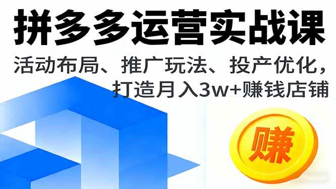 (16135期)拼多多运营实战课,活动布局、推广玩法、投产优化,打造月入3w+赚钱店铺-云网创