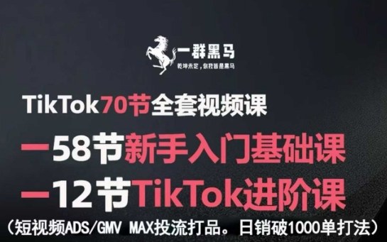 TikTok全套视频课,新手入门+进阶课,短视频ADS-GMV MAX投流打品,日销破1000单打法-云网创