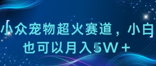 小众宠物超火赛道,小白也可以月入1w+-云网创