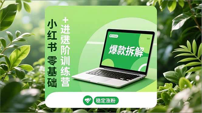 （16801期）小红书零基础+高阶训练营：安全养号、爆款拆解、长效运营，实现稳定涨粉与变现-云网创