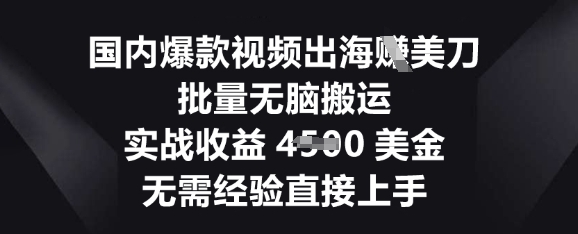 国内爆款视频出海挣美刀,批量无脑搬运,实战收益4.5k,无需经验直接上手-云网创