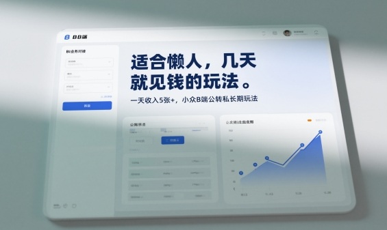 适合懒人，几天就见钱的玩法，一天收入5张+，小众B端公转私长期玩法-云网创