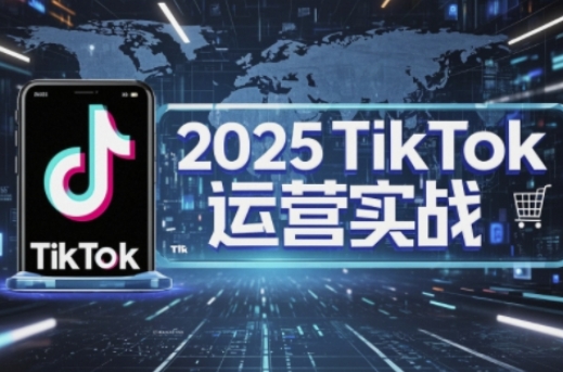 2025TikTok电商运营,掌握TikTok店铺运营核心技巧,实现低成本高转化-云网创