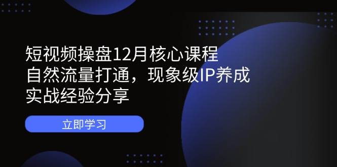 (14447期)短视频操盘12月核心课程:自然流量打通,现象级IP养成,实战经验分享-云网创