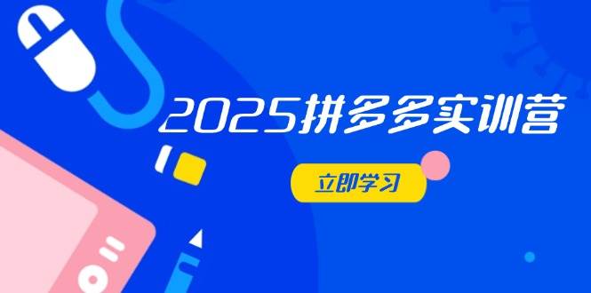 (14531期)2025拼多多实训营:深度剖析运营关键,助力电商人快速提升-云网创
