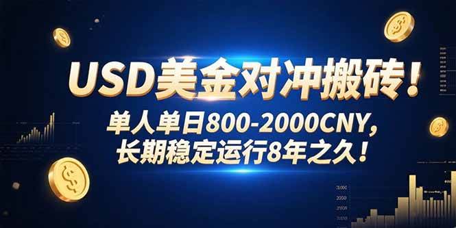 （15551期）USD美金对冲搬砖!单人单日800-2000CNY，长期稳定运行8年之久!-云网创