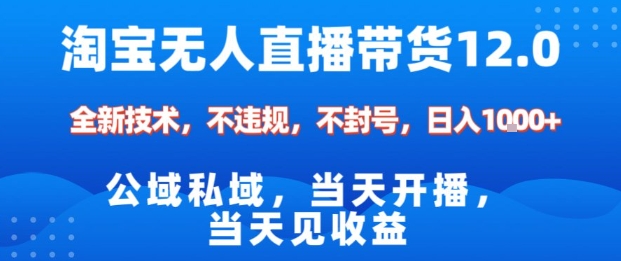淘宝无人直播12.0,公域私域技术,不封号,不违规布局双十一流量风口,日入1k(独家技术)【揭秘】-云网创