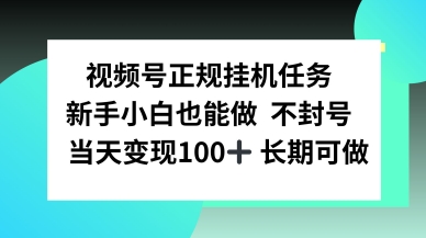 视频号正规挂播任务,有手就行不违规,轻松日入1张-云网创