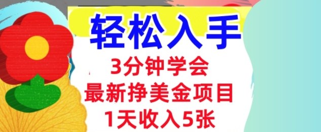 最新挣美金项目，日入5张，3分钟学会，小白轻松入手（长久的被动收入）-云网创