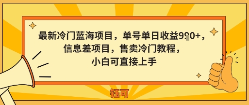 最新冷门蓝海项目,单号单日收益多张,信息差项目,售卖冷门教程,小白可直接上手-云网创