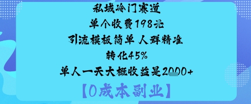 私域冷门赛道:单个收费198米引流模板简单人群精准转化45%单人一天大概收益是1k+-云网创