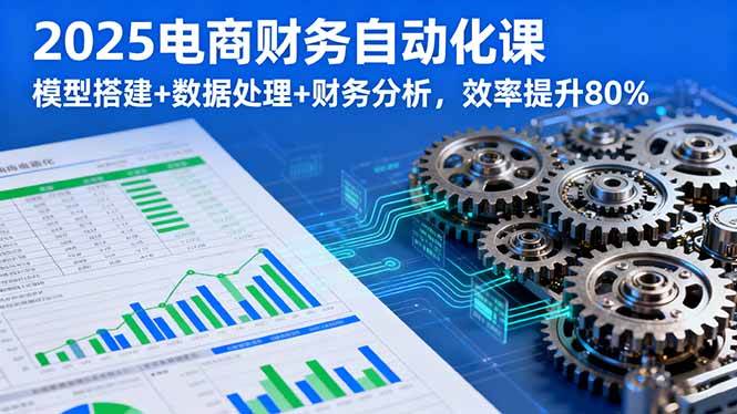 (16021期)2025电商财务自动化课,模型搭建+数据处理+财务分析,效率提升80%-云网创
