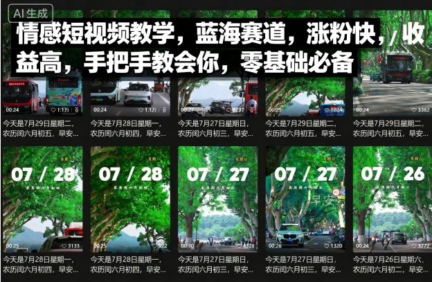 情感短视频教学,蓝海赛道,涨粉快,收益高,手把手教会你,零基础必备-云网创