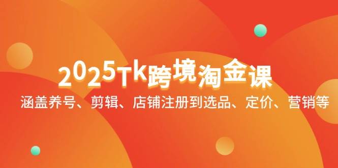 (14638期)2025Tk跨境淘金课:涵盖养号、剪辑、店铺注册到选品、定价、营销等-云网创
